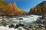 Алтайская река